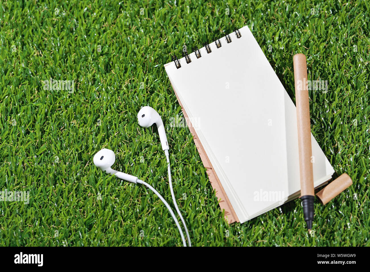 Notebook e penna sulla parte superiore con auricolare su un prato (concetto di viaggio) Foto Stock