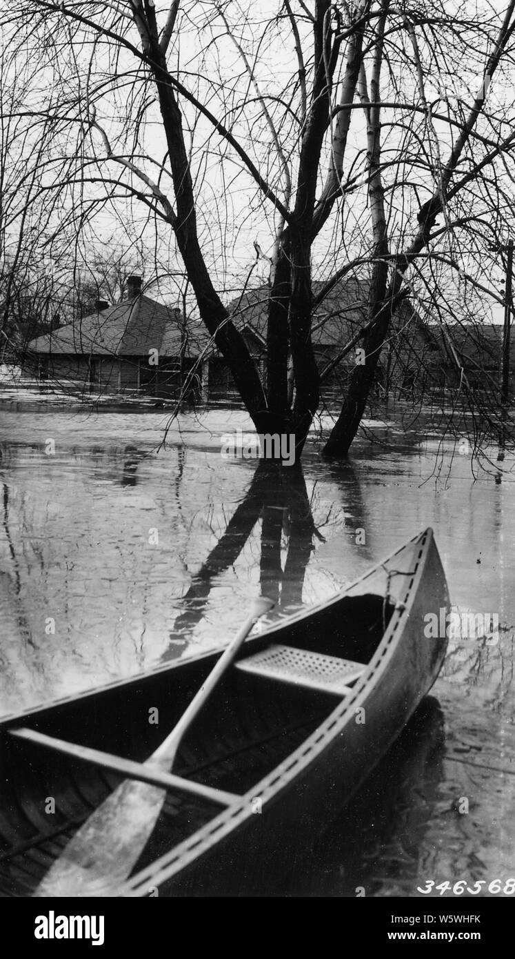 Fotografia di una modalità di trasporto ad Harrisburg, Illinois, campo di applicazione e il contenuto: didascalia originale: una modalità di trasporto ad Harrisburg, Illinois Residence Street a meno di 6 m di acqua. Foto Stock