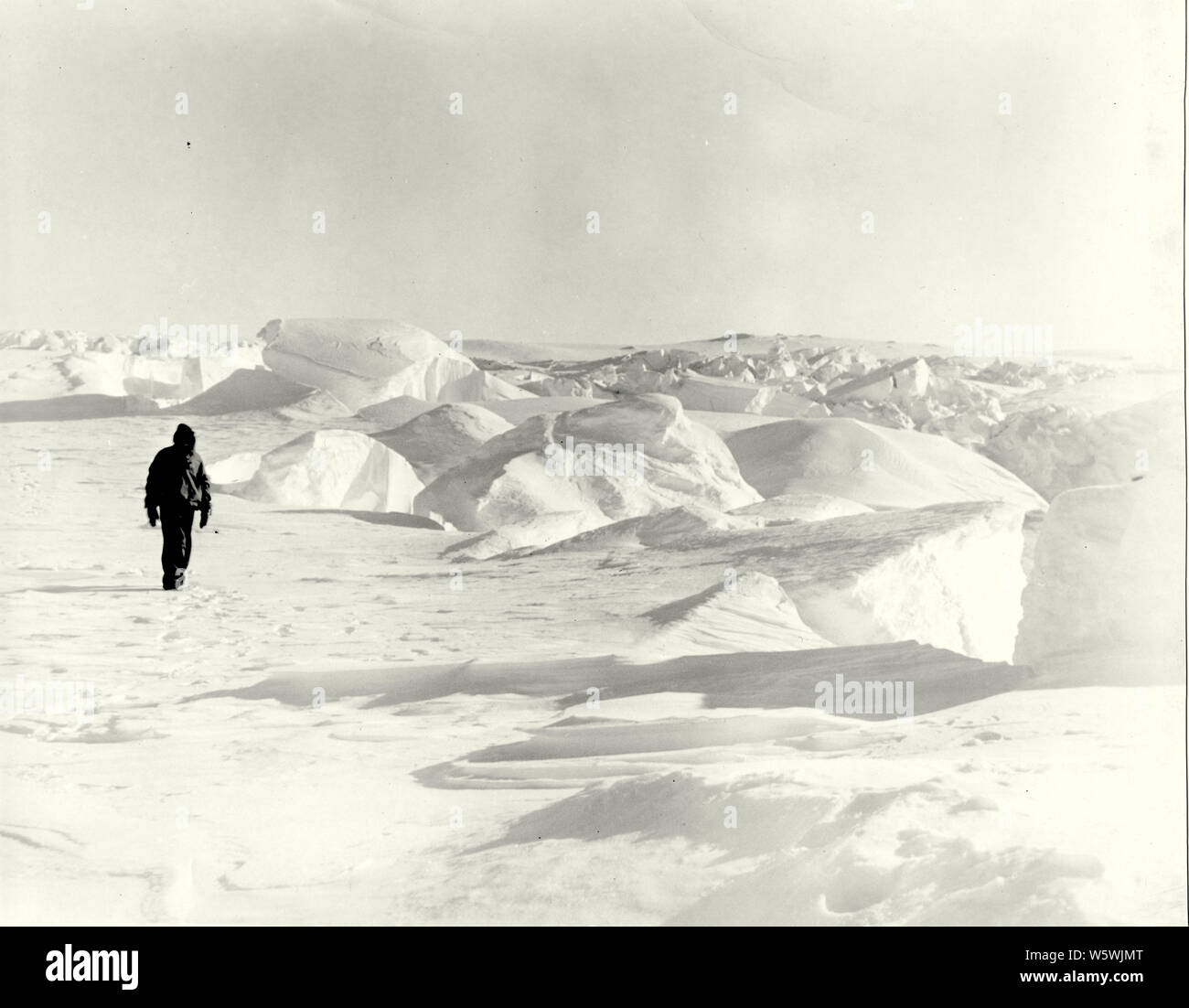 Baia di balene, Ross ice shelf, Roosevelt Island, l'Antartide. Chiamato da Ernest Shackleton a causa del grande prescence di balene nella baia Foto Stock