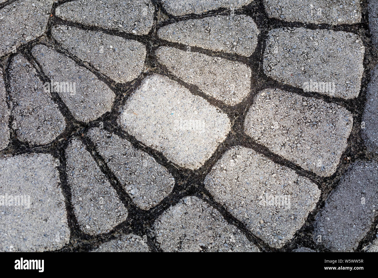 Una vista ravvicinata delle pietre che compongono un percorso al nuovo Hanover County arboretum in Wilmington, Carolina del Nord. Foto Stock