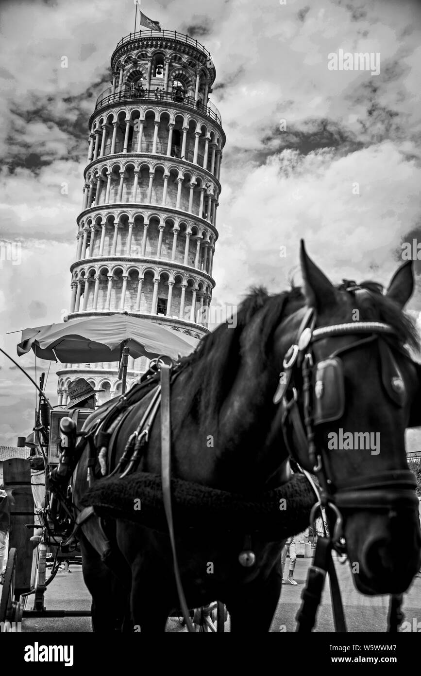 Un uomo e il suo cavallo si appoggia in attesa per i passeggeri, mentre la Torre Pendente di Pisa è in background Foto Stock