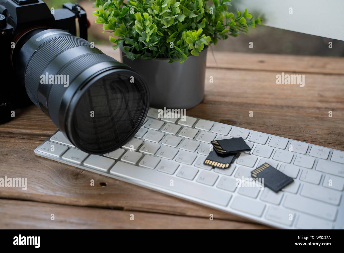Schede di memoria per fotocamera reflex digitale. Foto di storage. Fotografia business. Foto Stock