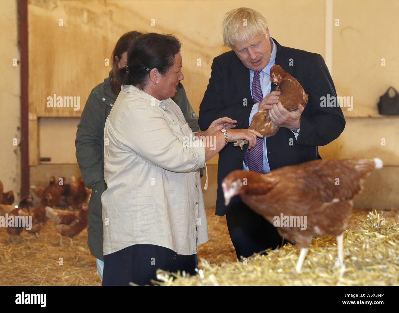 Il primo ministro Boris Johnson accompagnati dagli agricoltori locali Ingrid Shervington e sua figlia Victoria Shervington-Jones, ispeziona i polli durante la sua visita Shervington Farm, in Newport South Wales. Foto Stock