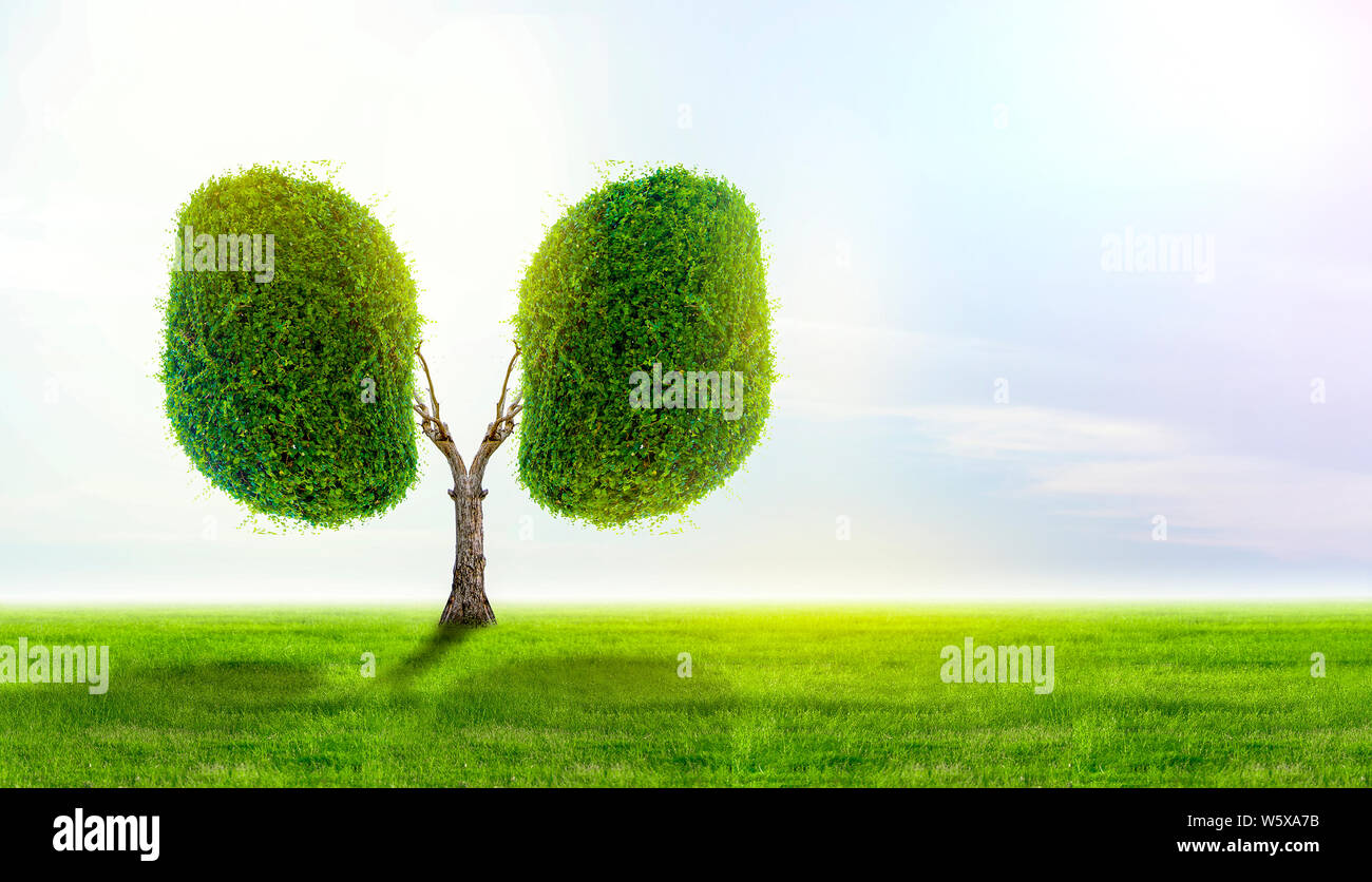 Polmone verde a forma di albero di immagini, concetti medici, autopsia, visualizzazione 3D e animali come un elemento Foto Stock