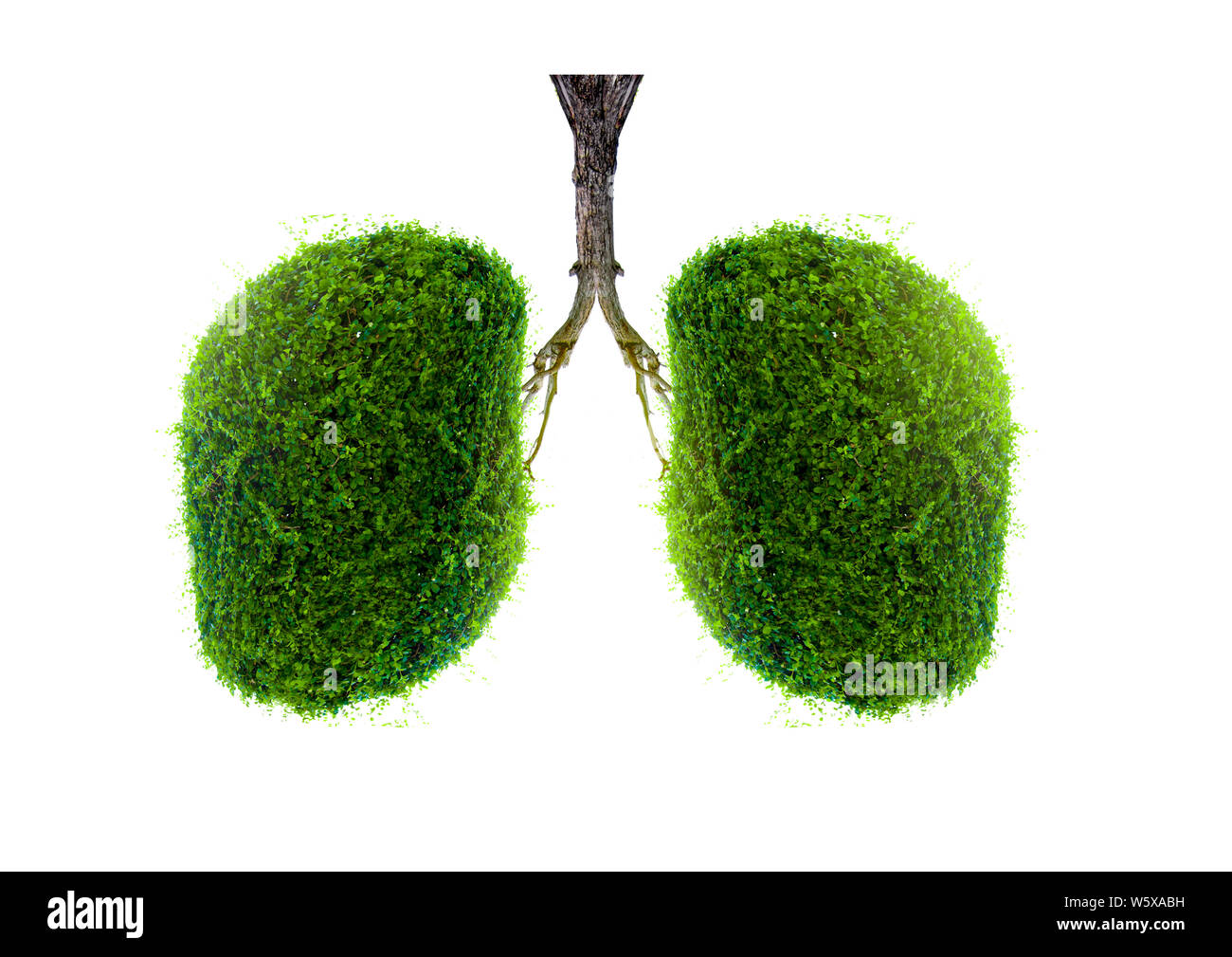 Polmone verde a forma di albero di immagini, concetti medici, autopsia, visualizzazione 3D e animali come un elemento Foto Stock