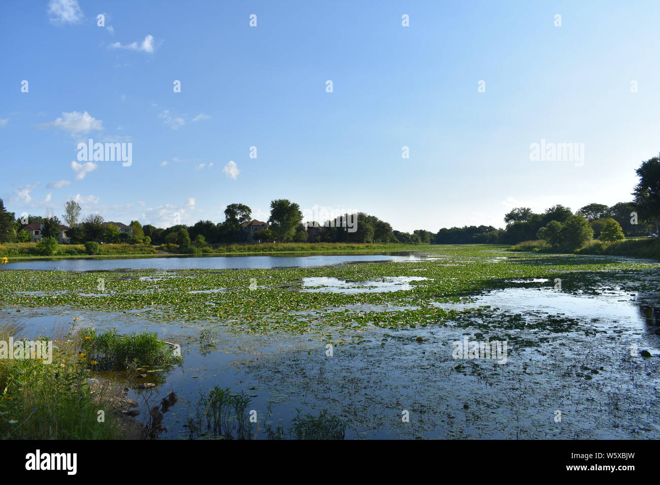 Waubonsie Parco Lago Foto Stock