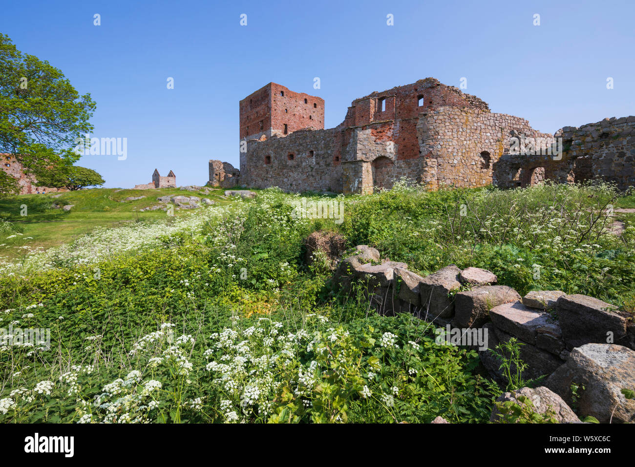 Le rovine della fortezza medievale di Hammershus vicino Allinge sulla costa nord occidentale della isola di Bornholm Foto Stock