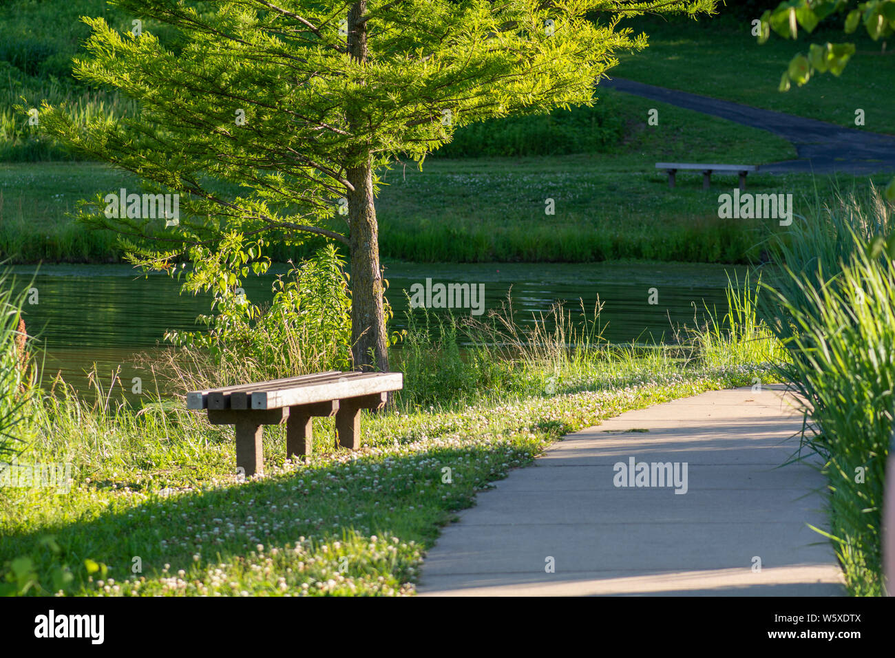 Un posto tranquillo con panchine lungo una curva del percorso a piedi accanto ad un laghetto nella luce della sera. Foto Stock
