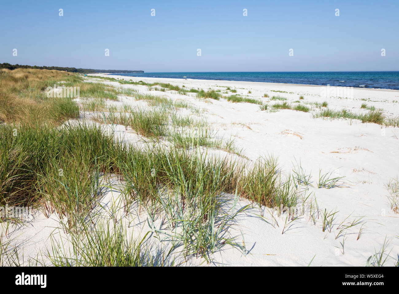 Spiaggia di sabbia bianca di Dueodde sull isola della costa sud, Dueodde, isola di Bornholm, Mar Baltico, Danimarca, Europa Foto Stock