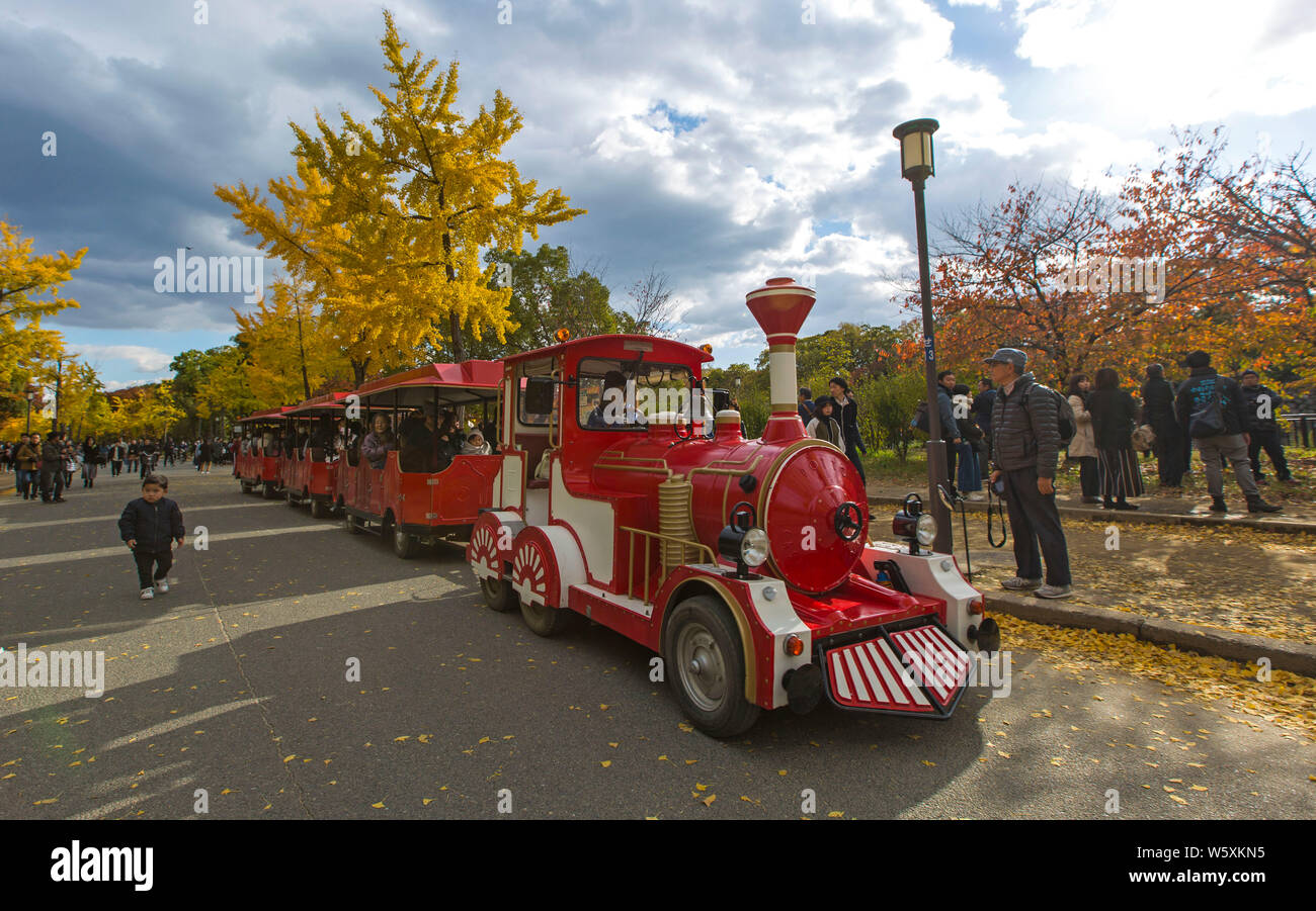 Il bel fogliame di autunno di gingko alberi e alberi di acero nel Castello di Osaka nella città di Osaka, Kansai, Giappone, 19 novembre 2018. Foto Stock