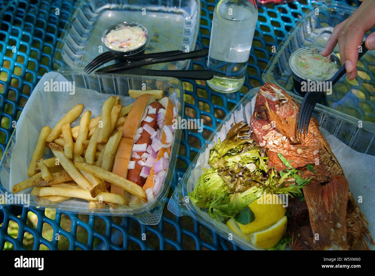 Hotdog, le patatine fritte e un fritto red snapper pronto per essere consumato in una bella estate all'aperto giorno. Foto Stock