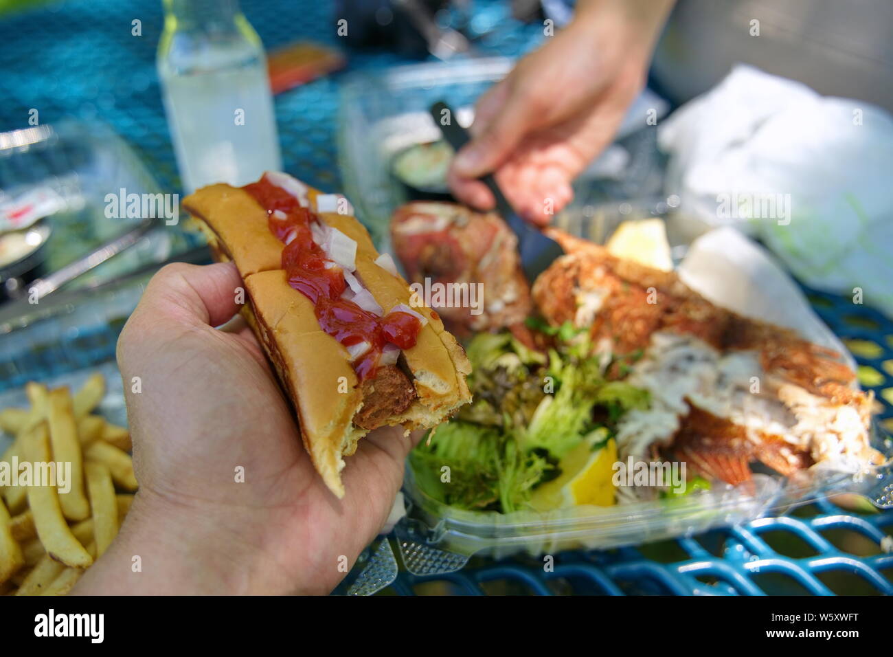 Mano che tiene un morso succosa hotdog con patate fritte a fianco di un fritto red snapper su una bella giornata all'aperto. Foto Stock