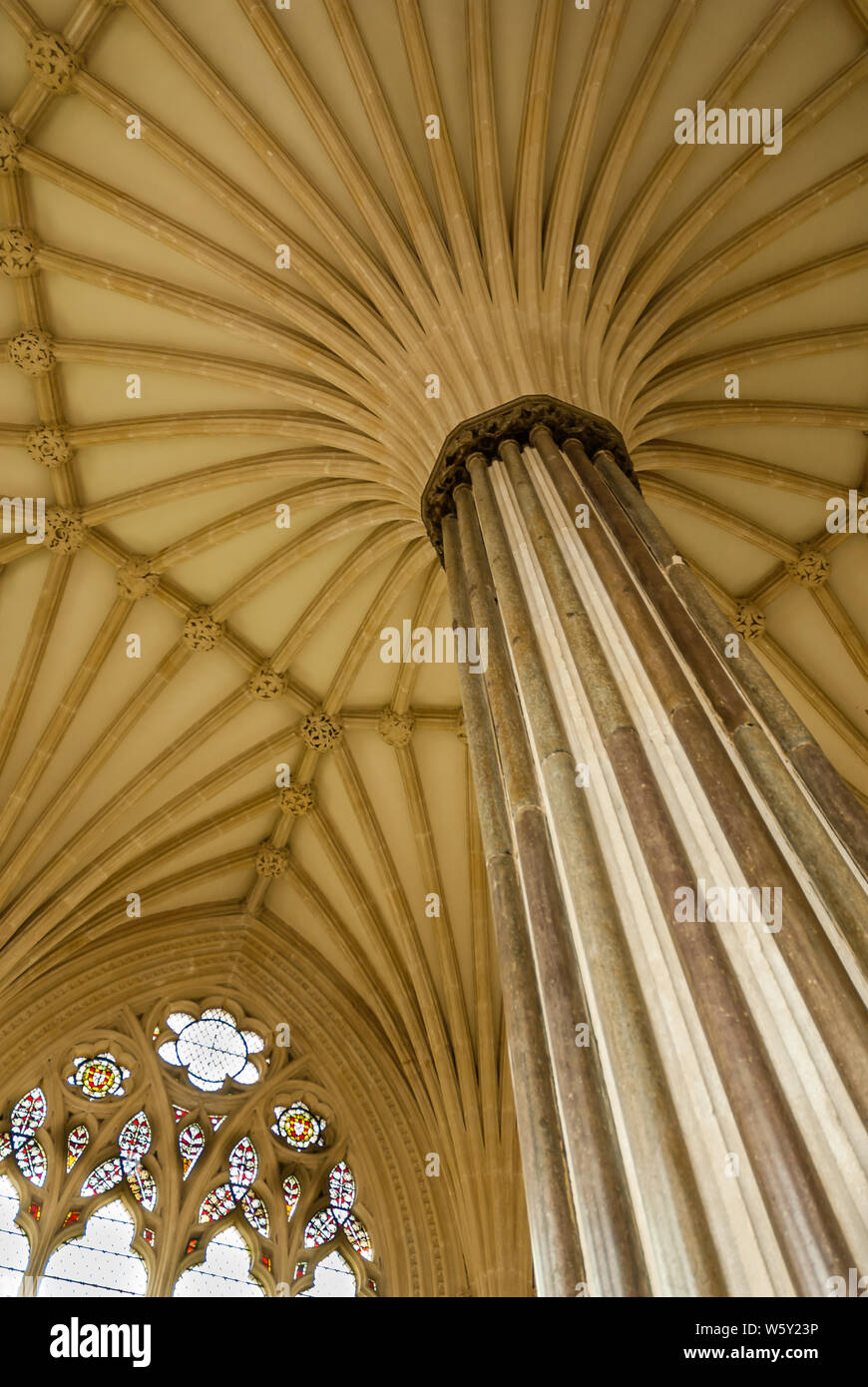 La Chapter House, Cattedrale di Wells con la sua ventola magnifico soffitto a volte. Foto Stock