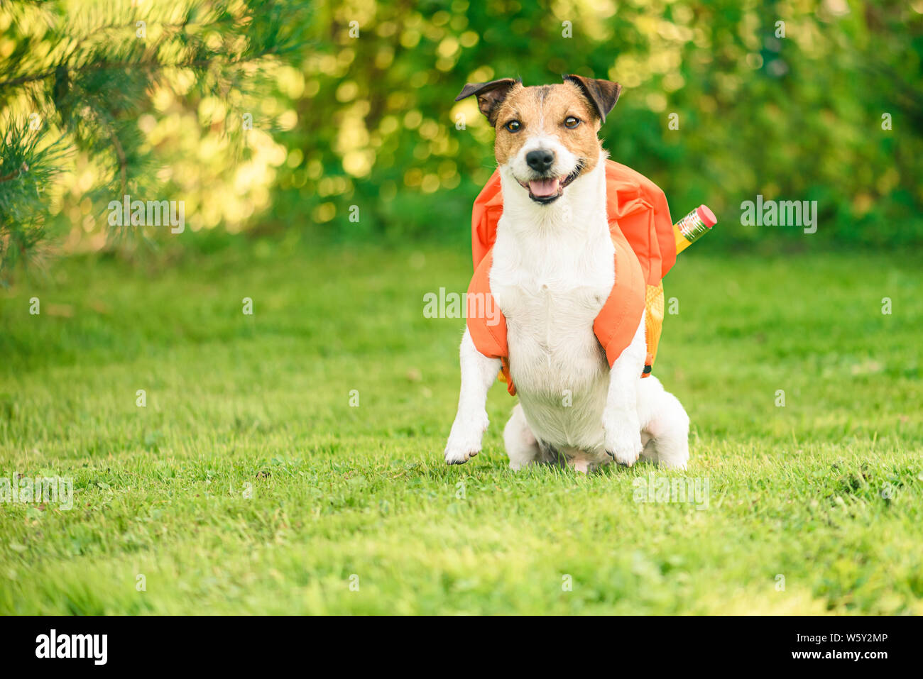 Smart cane pronto a tornare a scuola con uno zaino pieno di articoli di cancelleria Foto Stock
