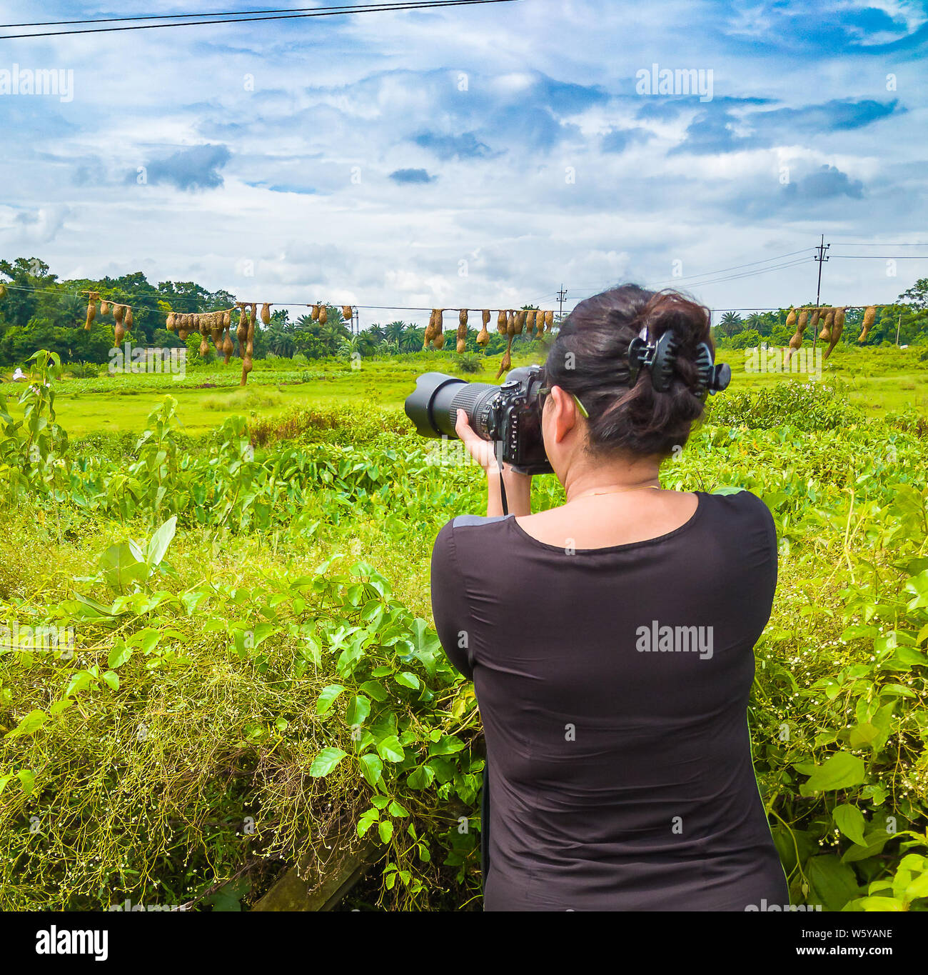 Signora giovane Wildlife Photographer di scattare le foto con obiettivo zoom. Foto Stock