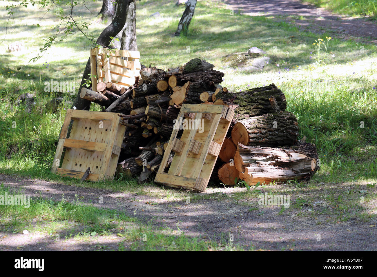 Cumulo di rifiuti organici come la struttura di taglio di pezzi di legno e pallets euro posa su un prato in Helsinki durante una giornata di sole. Pallet multipli e taglio di alberi. Foto Stock