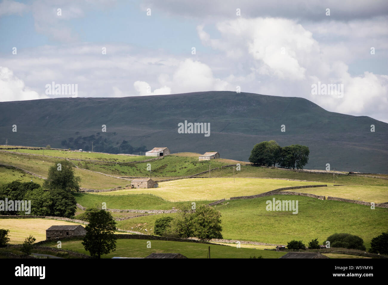 Luce estiva over Wensleydale, Yorkshire Dales National Park, North Yorkshire, Inghilterra, Regno Unito Foto Stock