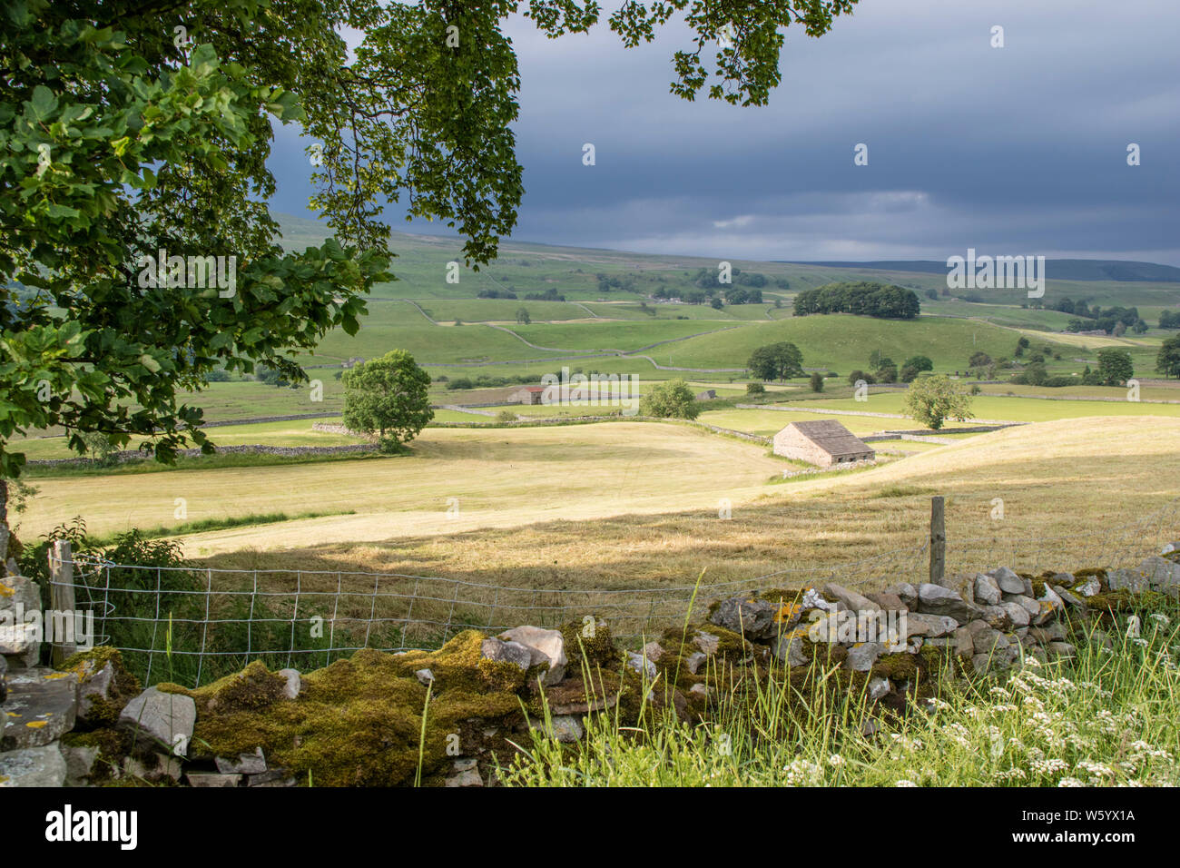 Wensleydale paesaggio, Yorkshire Dales National Park, North Yorkshire, Inghilterra, Regno Unito Foto Stock