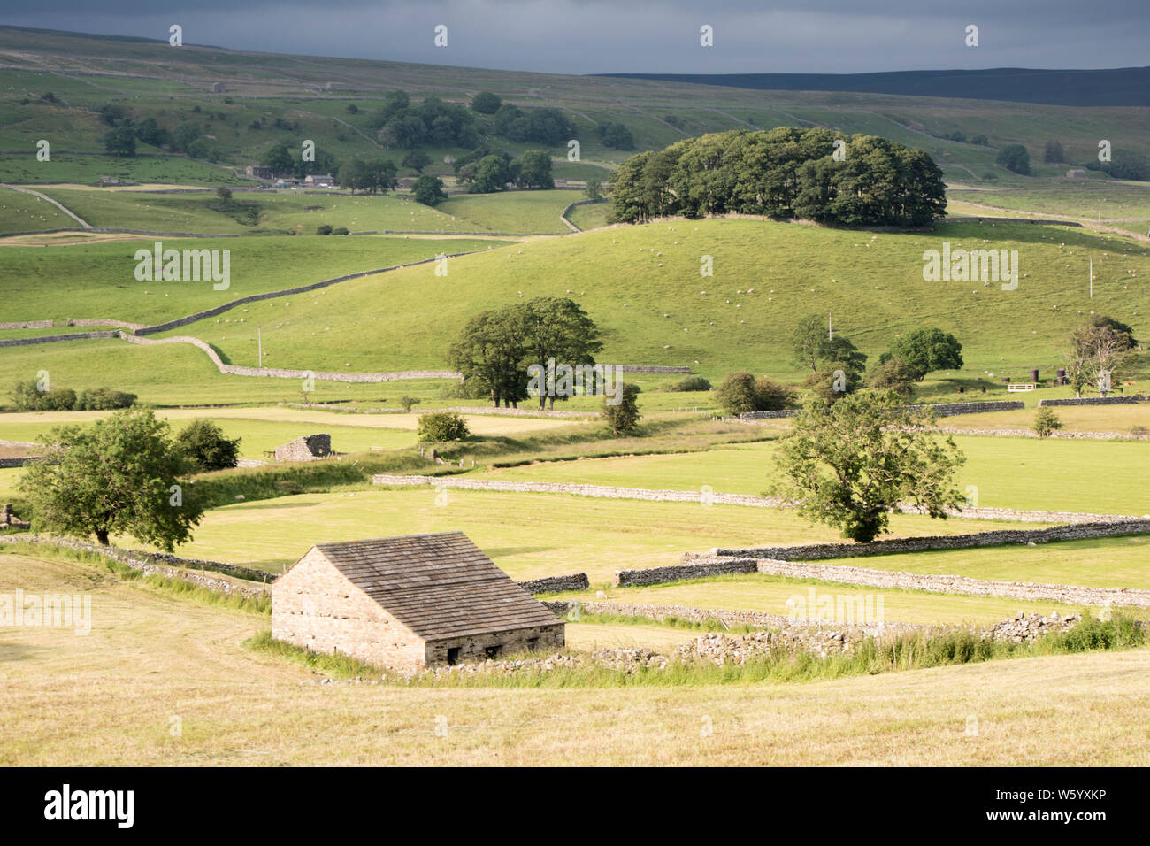 Wensleydale paesaggio, Yorkshire Dales National Park, North Yorkshire, Inghilterra, Regno Unito Foto Stock