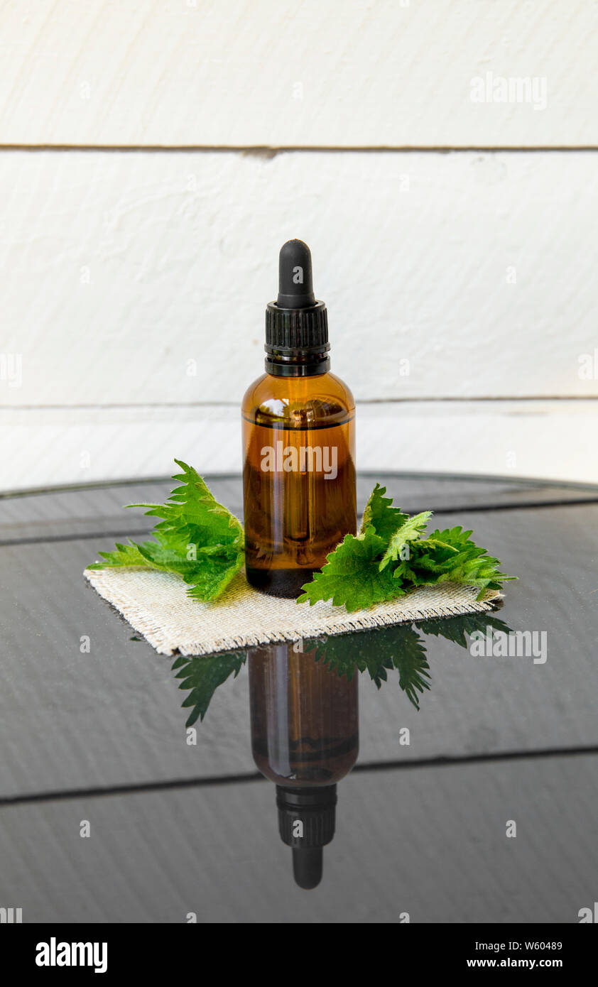 Ortica olio essenziale o per infusione endovenosa in marrone pipetta medico bottiglia con decorativo rami di ortica tavola di legno dello sfondo. Foto Stock