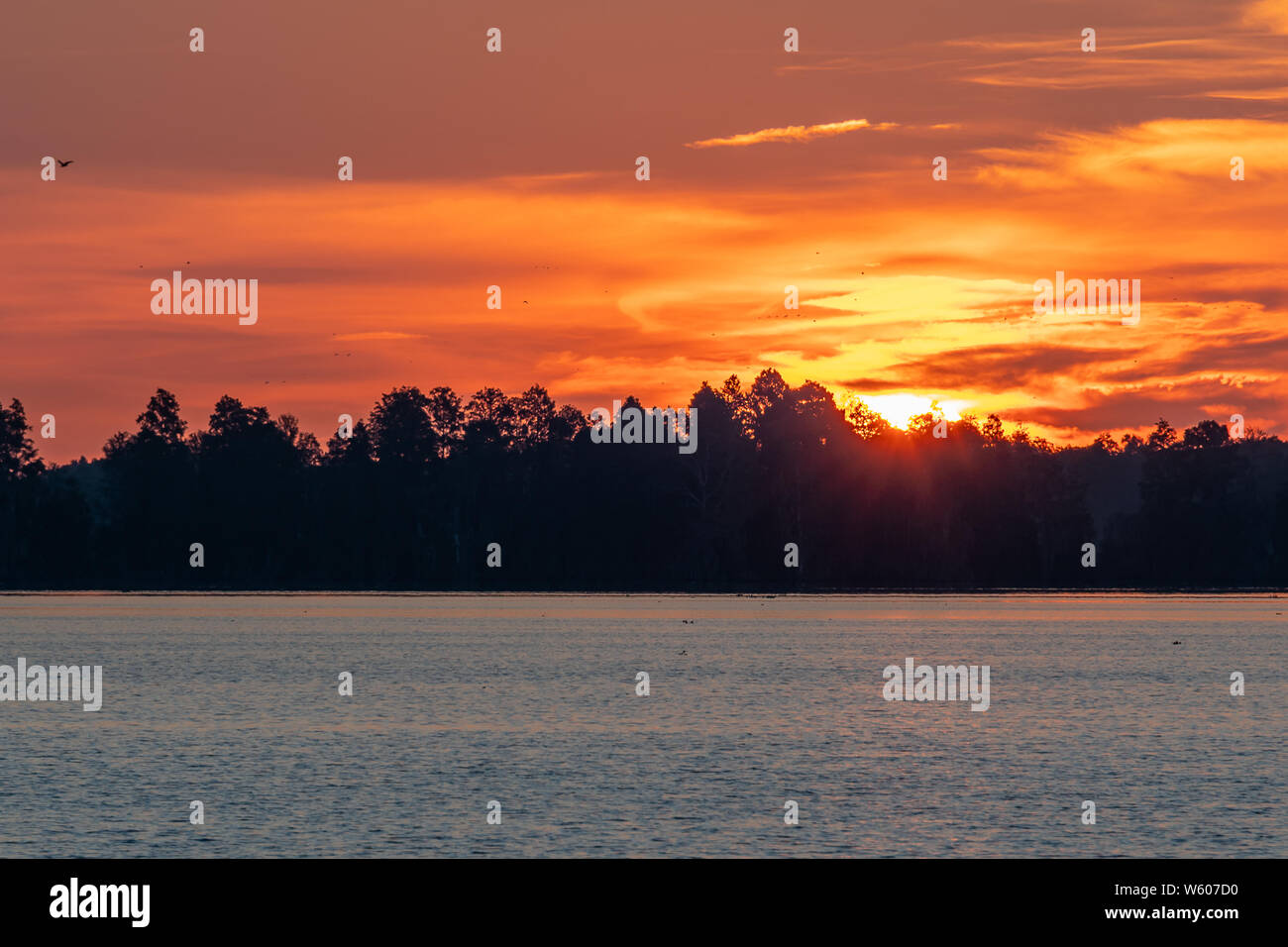 Isola sunrise vista dall'acqua Foto Stock