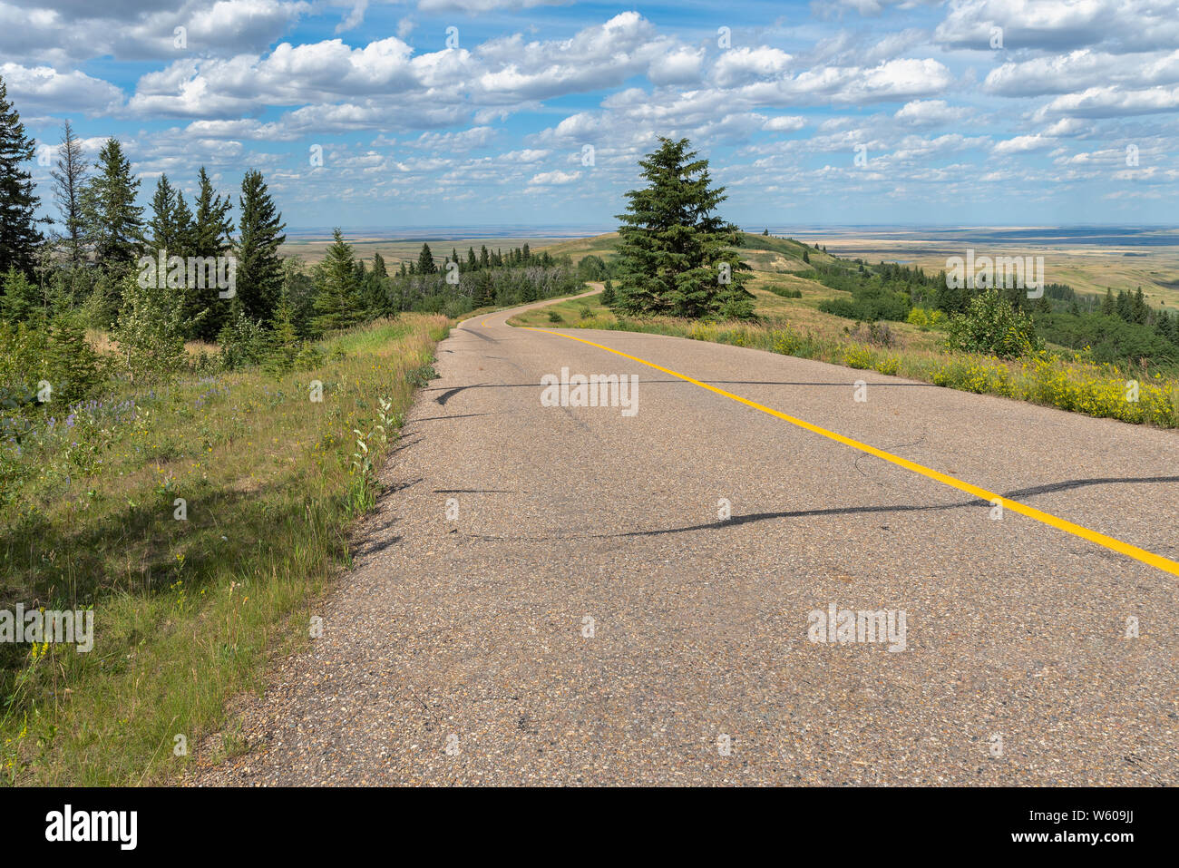 Road passando attraverso colline di cipressi parco interprovinciale, Alberta, Canada Foto Stock