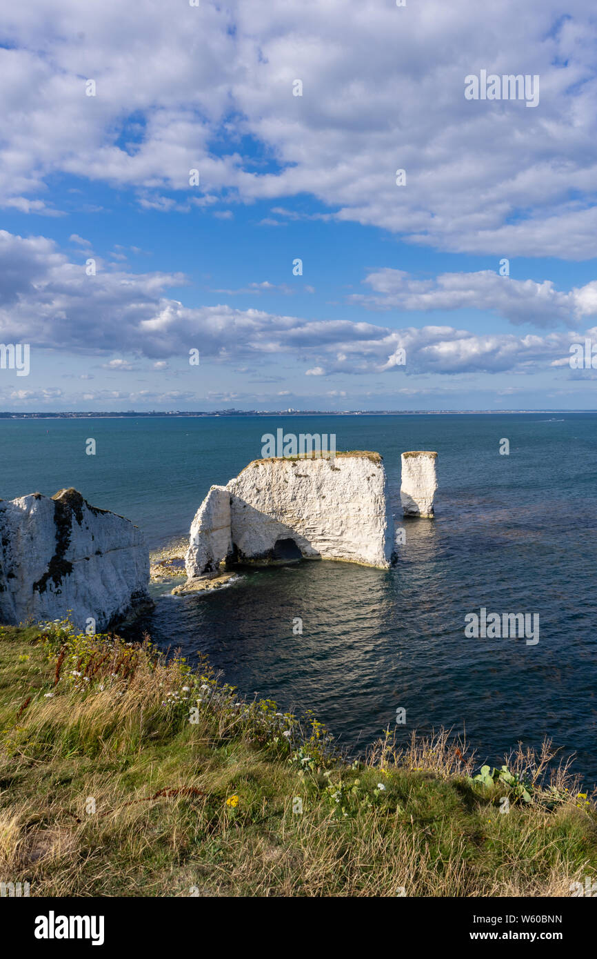 Old Harry Rocks, famoso chalk rock formazione sull'Isola di Purbeck Handfast punto, Jurassic Coast Sito Patrimonio Mondiale dell'UNESCO, Dorset, England, Regno Unito Foto Stock