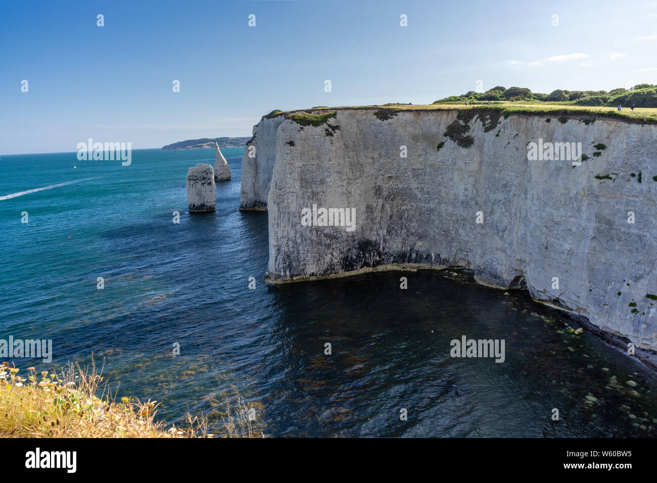 I Pinnacoli pila di chalk formazioni rocciose su Ballard giù sul isola di Purbeck durante l'estate, Dorset, England, Regno Unito Foto Stock