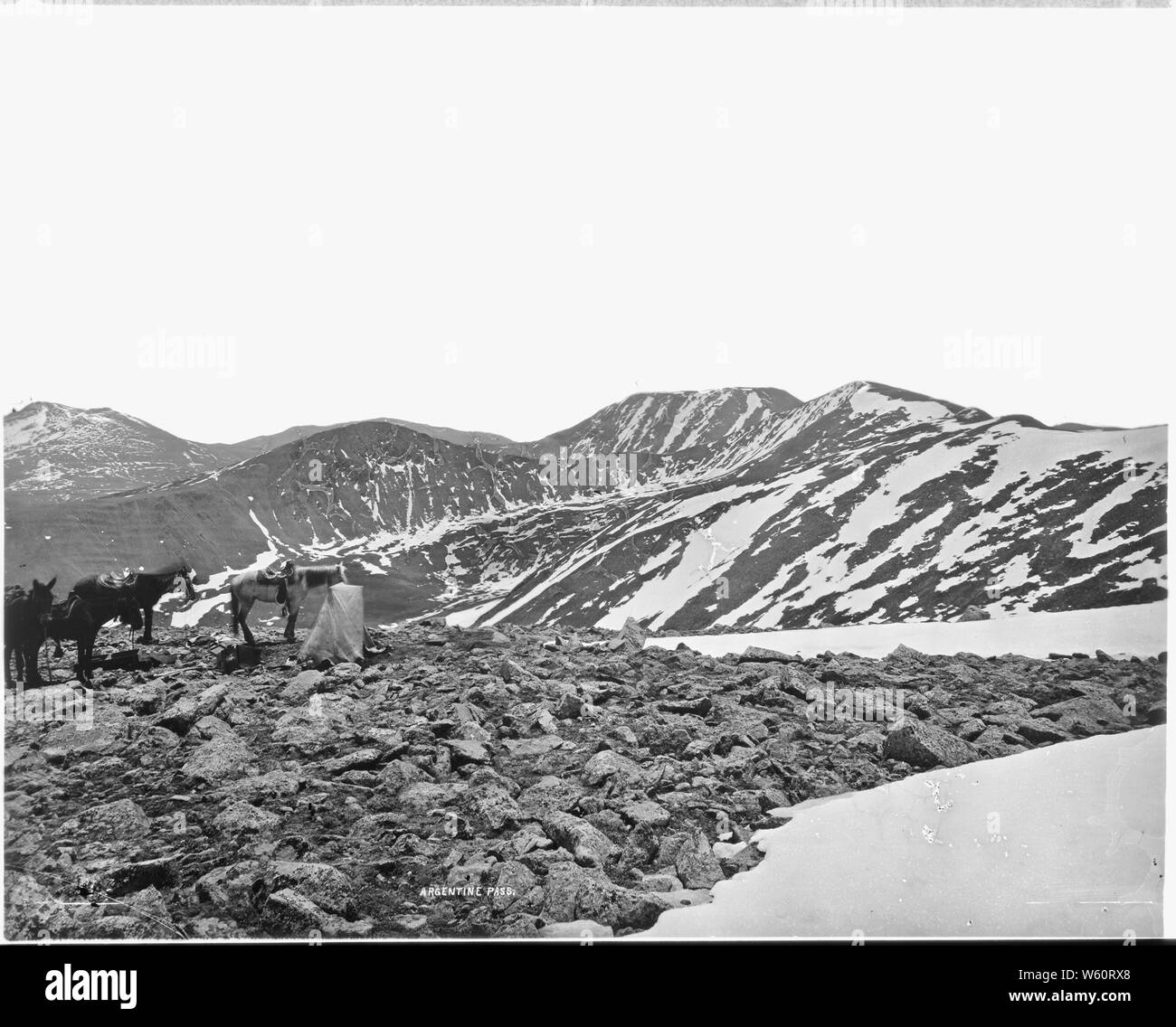 Pass argentino. Gamma anteriore delle Montagne Rocciose, Colorado Foto Stock