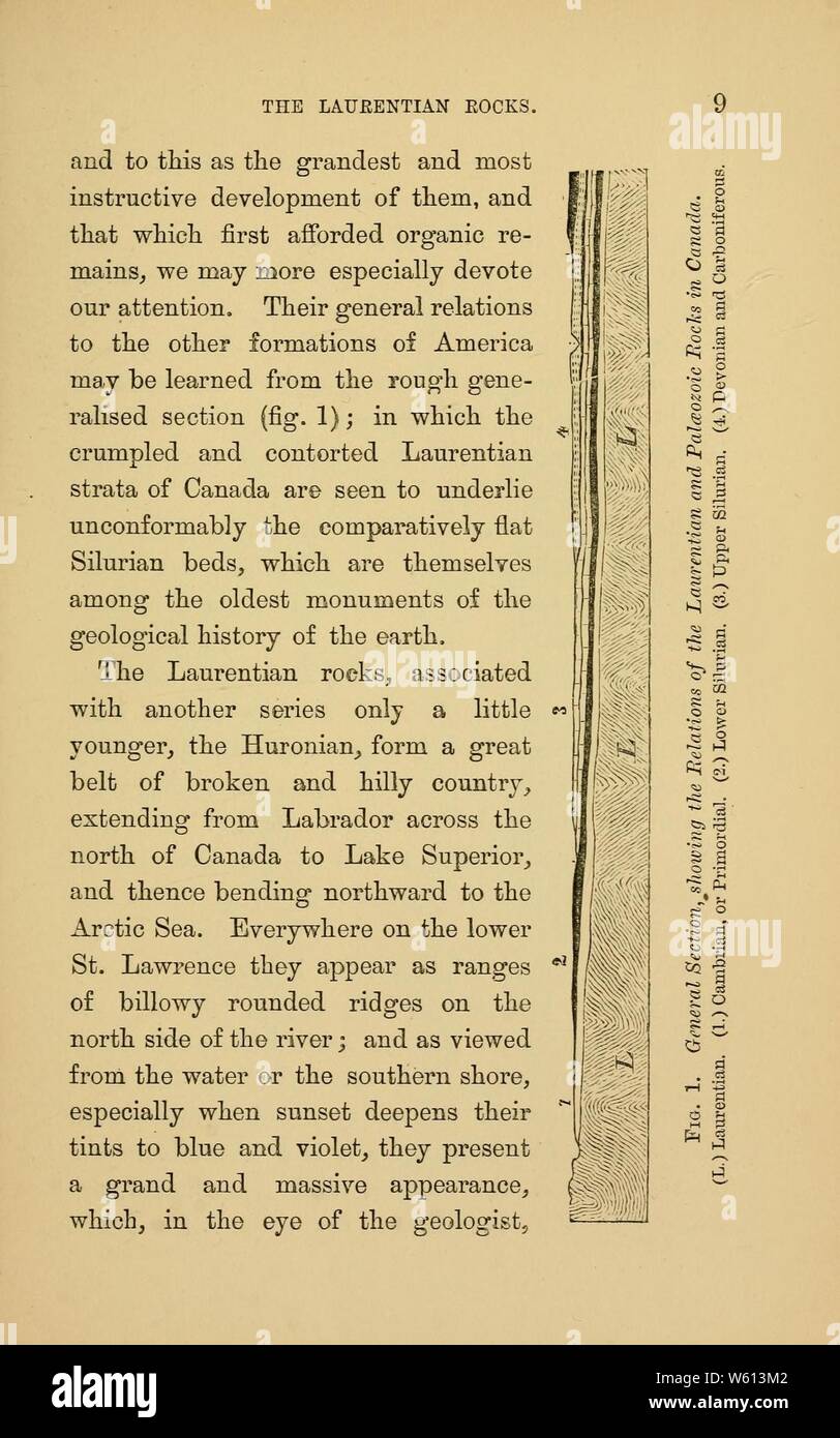 Aurora di vita (pagina 9, Fig. 1) Foto Stock