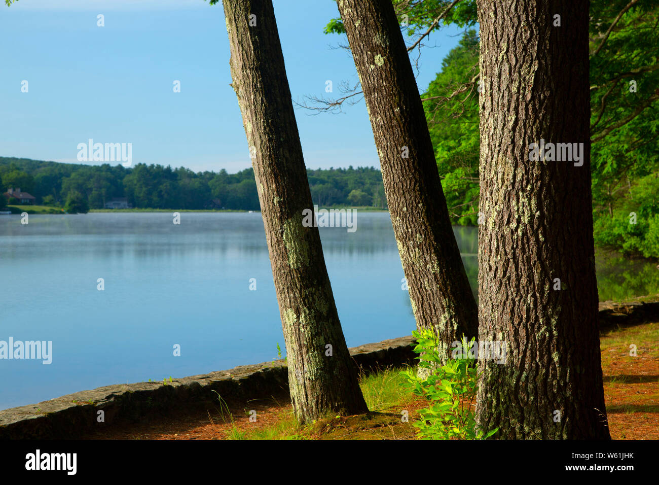 Walker Pond, pozzi del parco statale, Massachusetts Foto Stock