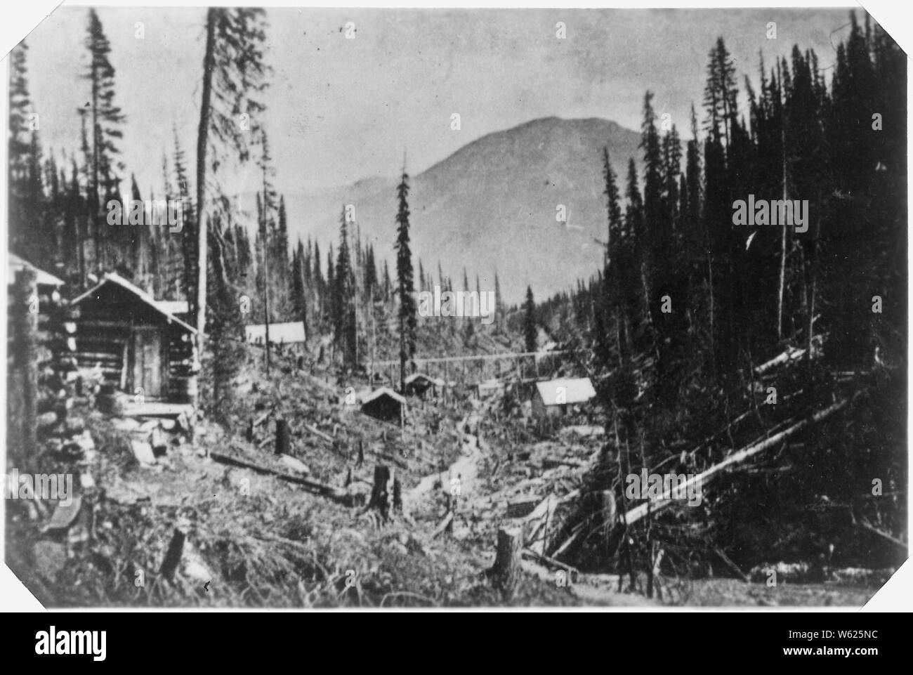 Cabine in Alaska durante il Gold Rush.; Portata e contenuto: sul retro della foto: presi dal Gold Rush Gruppo.. Foto Stock