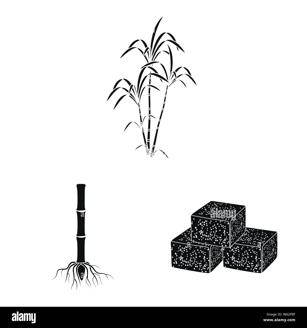Il design del vettore di saccarosio e segno di tecnologia. Raccolta di saccarosio e di canna da zucchero simbolo azionario per il web. Illustrazione Vettoriale