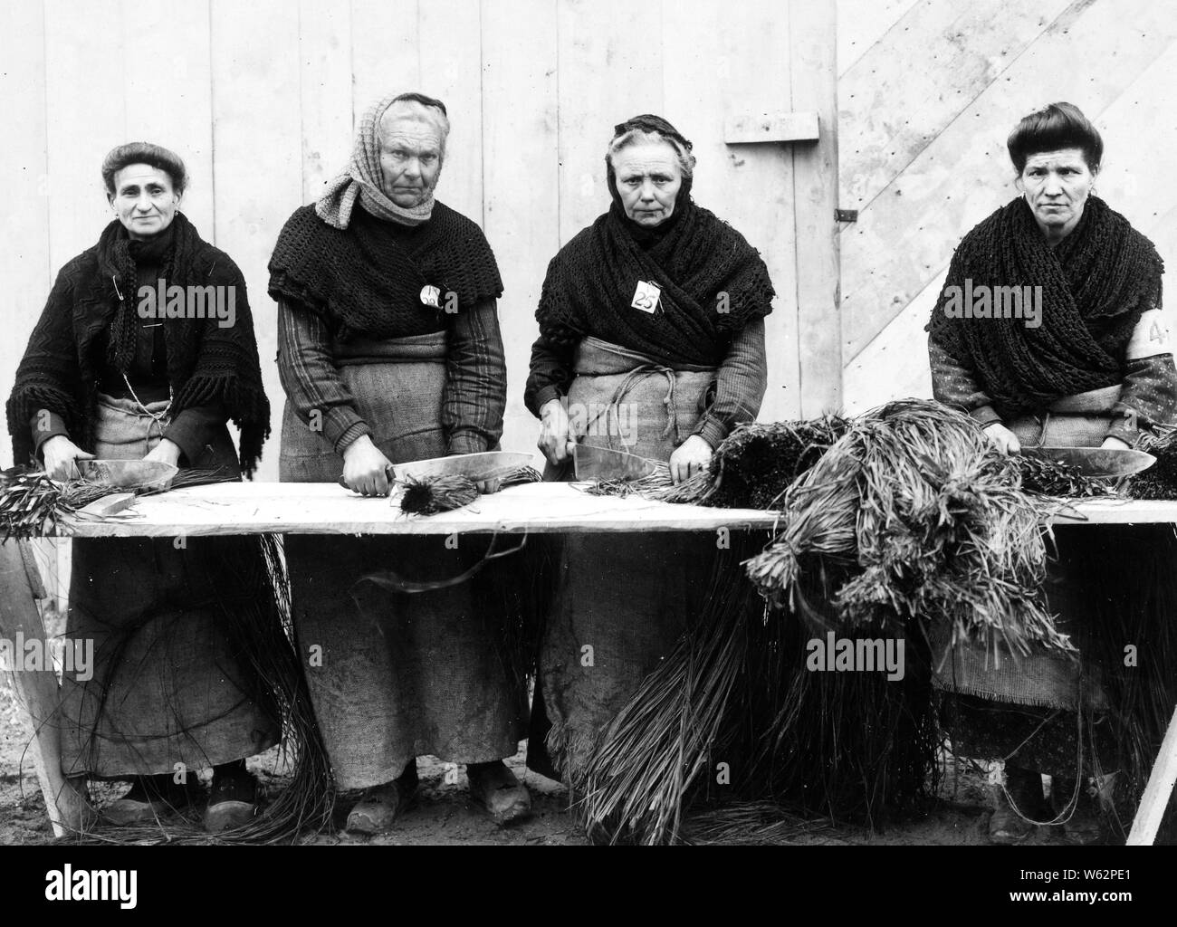 Contadini francesi di taglio erba raffa di legare il camuffamento tappetini al filo netting, Dijon, Francia, camuffamento di impianto. Duecento le donne vengono impiegate a 4 franchi al giorno. Aprile 1918. Foto Stock