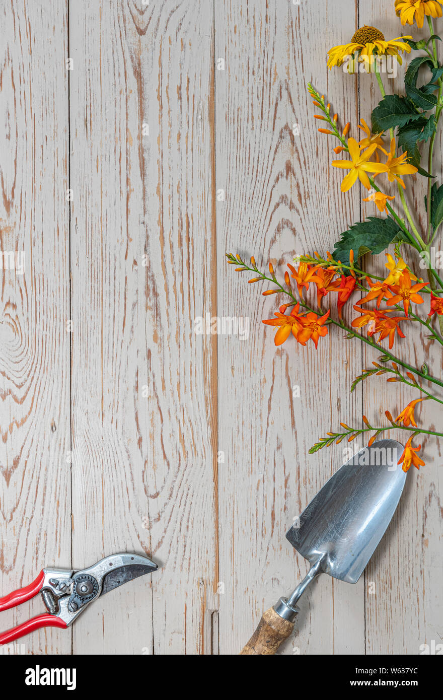 Fiori d'estate prevista su di un tavolo di legno, con copia spazio e attrezzi da giardino. Foto Stock