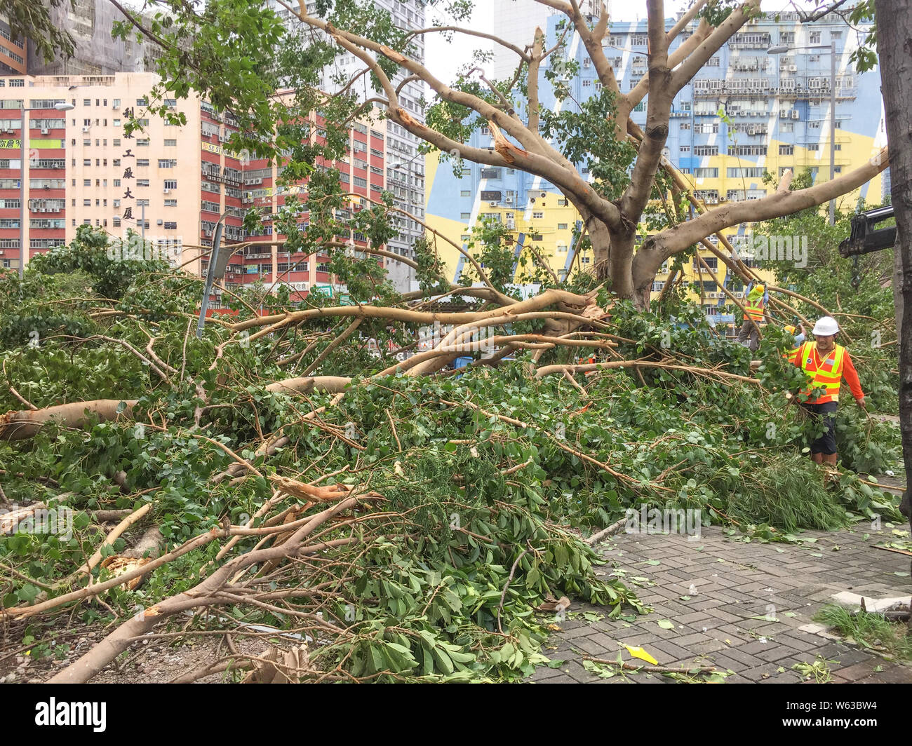 Un lavoratore cinese sgombra alberi sradicati dal forte vento causato dal tifone Mangkhut, la ventiduesima typhoon dell'anno, su una strada di Hong Kong, Cina Foto Stock