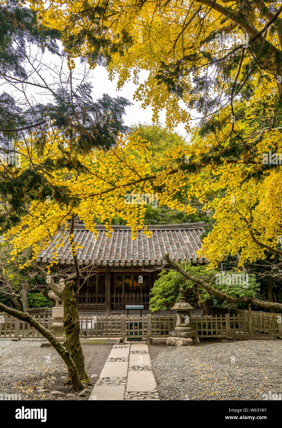 Guardando attraverso gli alberi di una cabina in un bellissimo giardino Sankeien a Yokohama Giappone. Foto Stock