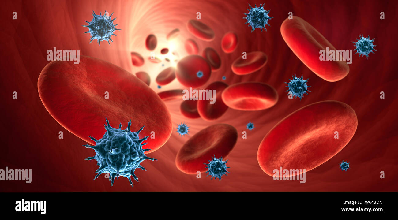 Cellule di sangue rosso - gli eritrociti con virus all'interno di un vaso sanguigno - 3D illustrazione Foto Stock