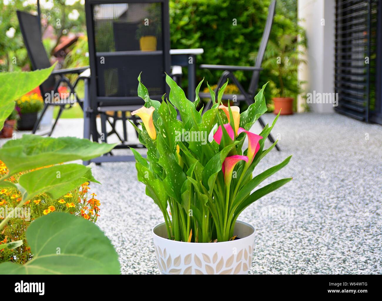 Bella terrazza con decorativi in pietra naturale pavimento, Potted Calla Lily Fiore e tavolo con sedie. Foto Stock