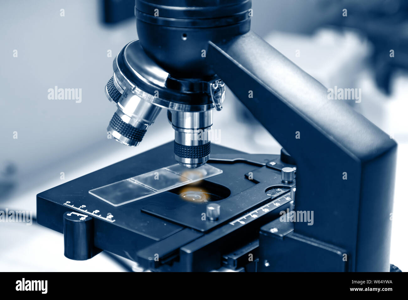 Obiettivi e vetrino del microscopio, ricerca di vaccini, virus Foto Stock