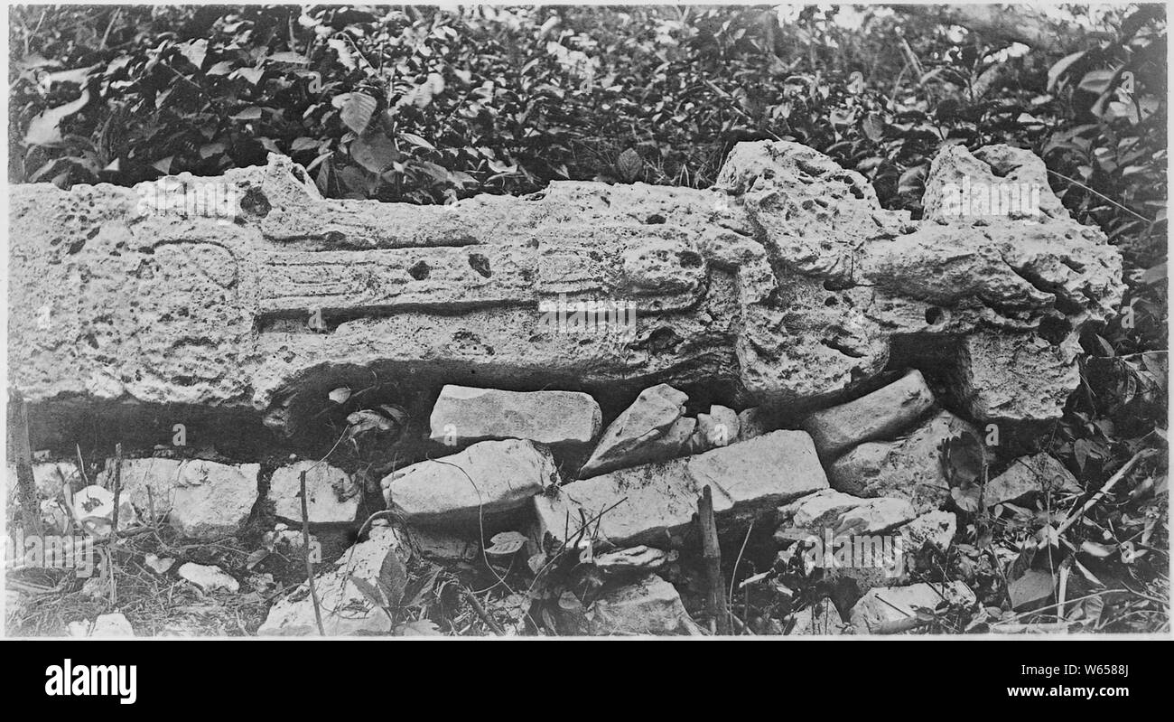 Monolito caduto sul pendio sud del tempio della Croce, Palenque, Messico.; Note Generali: Immagini n. 76 e 76A sono su una piastra. Foto Stock