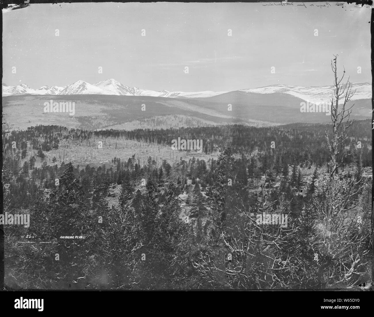 Gamma anteriore delle Montagne Rocciose dalla prospettiva di montagna del nord del Nord Boulder, Colorado, mostrando Arapaho picco. Foto Stock