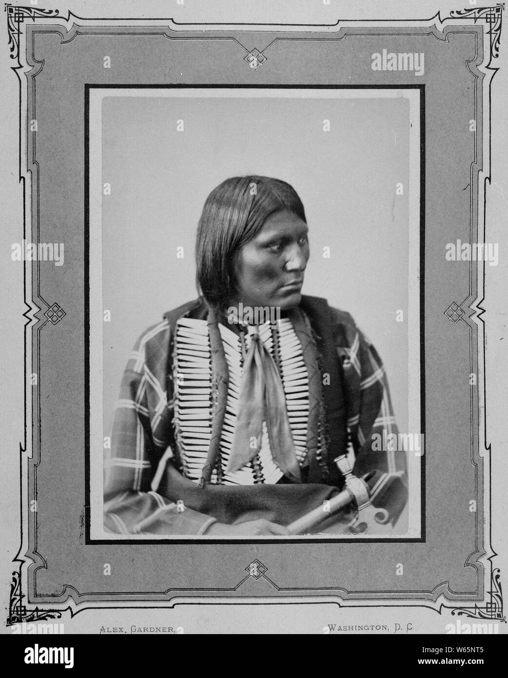 Aquila grigia. Apache Foto Stock