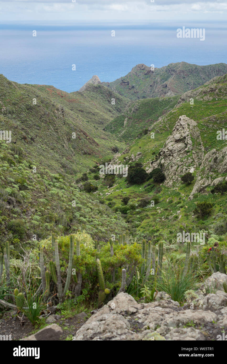 Anaga mountain range, Tenerife, Isole canarie, Spagna, Unione europea Foto Stock