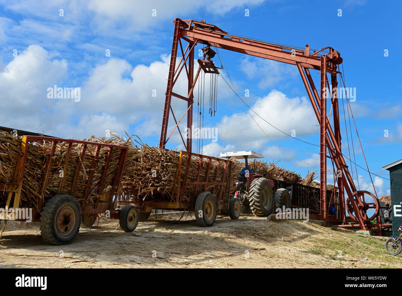 Trattore, canna da zucchero caricato sul carro ferroviario, zucchero di canna raccolta, nei pressi di San Rafael de Yuma, Repubblica Dominicana, Caraibi, (Saccharum officinarum) Foto Stock