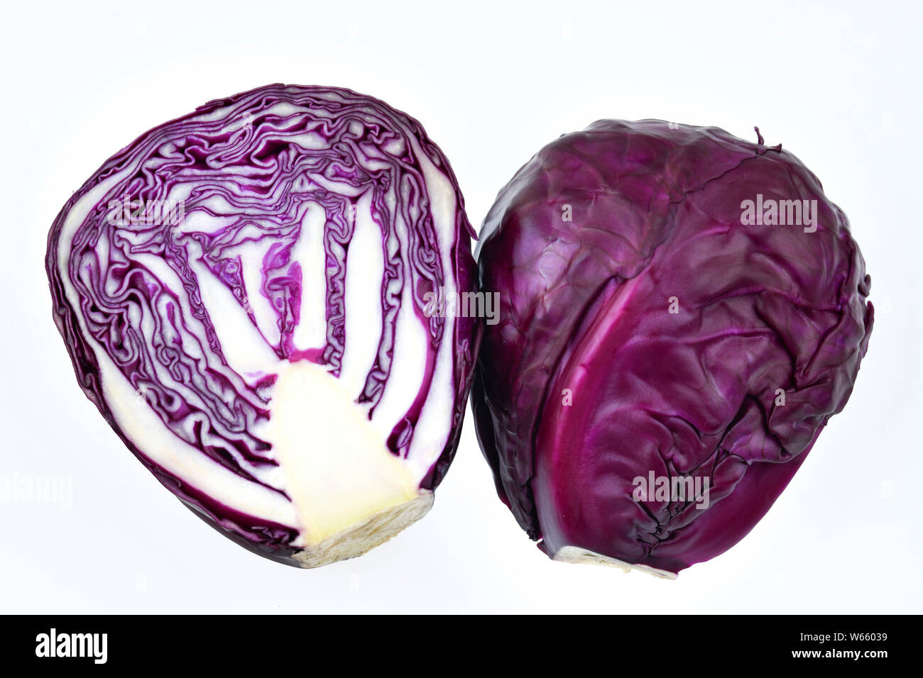 Cavolo rosso, Brassica oleracea convar. var. capitata rubra Foto Stock