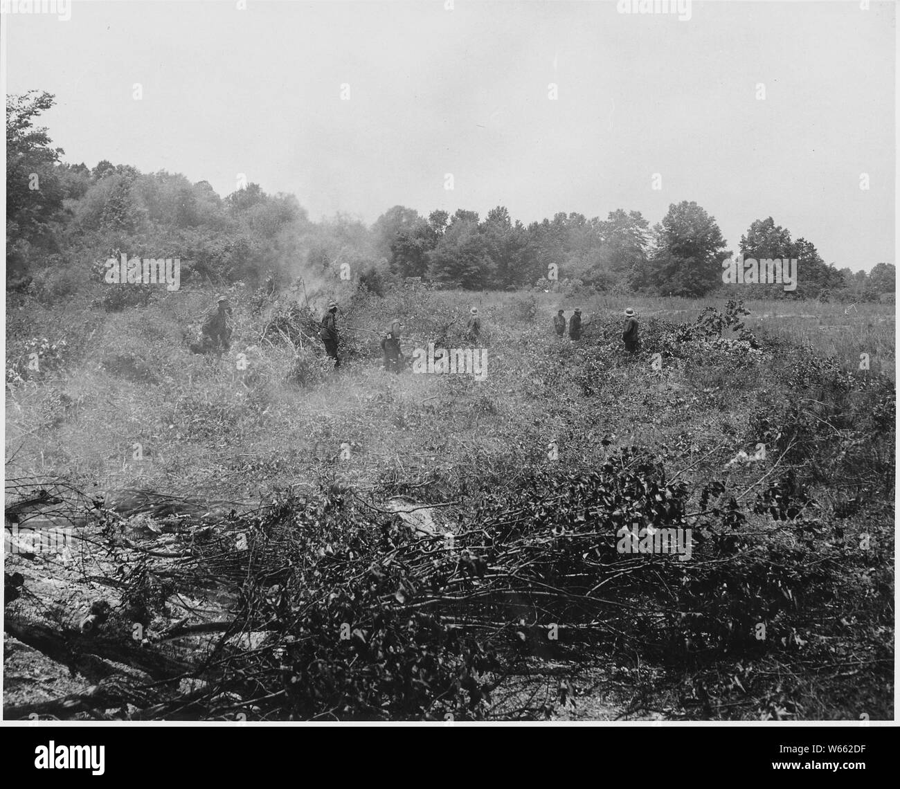 Armonia comunità, Putnam County, Georgia....Queste sono [afro-americano di] CCC i ragazzi che lavorano in un fiel . . .; Portata e contenuto: Full didascalia recita come segue: armonia comunità, Putnam County, Georgia....Queste sono [afro-americano di] CCC i ragazzi che lavorano in un campo a sud di armonia. Il loro lavoro è qui per cancellare cinque acri di erbacce e rovi. Ordinariamente, scrub e rifiuti non sono bruciate, poiché la combustione tende a danneggiare il suolo. In questo caso alcune delle patch in radica erano troppo dense per essere trattate in qualsiasi altro modo. Il lavoro di questo tipo viene fatto sulla terra di qualsiasi uomo bianco o [afro-americano di], se Foto Stock