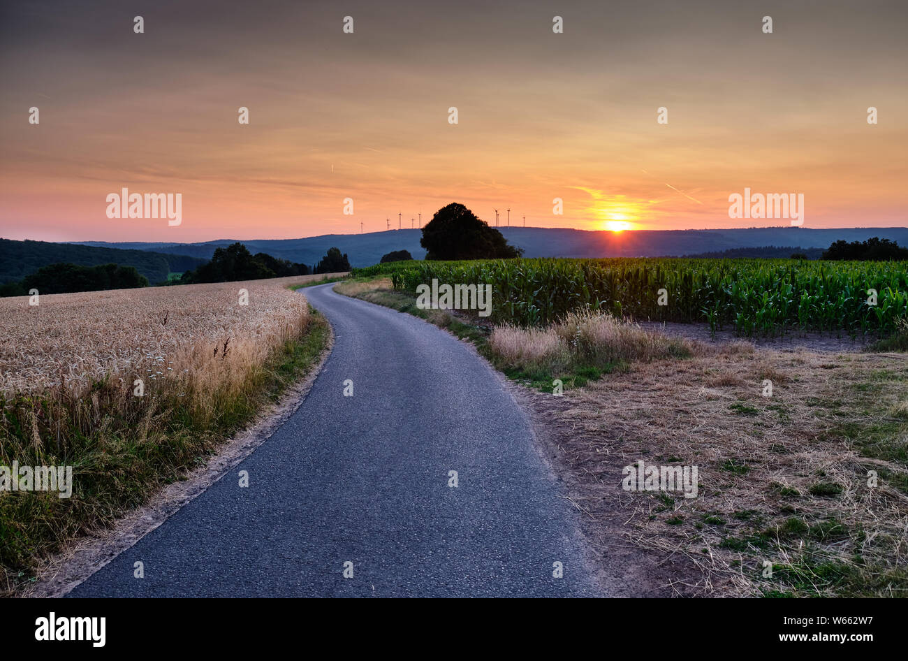 Una lunga e tortuosa strada di campagna nella zona di Spessart in Germania durante il tramonto Foto Stock