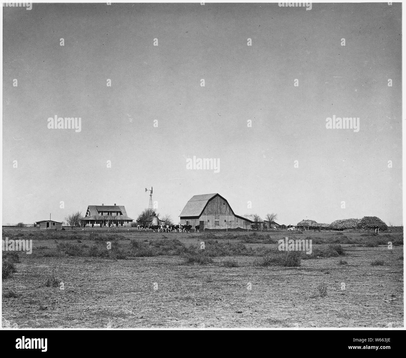 La Contea di Haskell, Kansas. Questo posto...appartengono[s] per gli agricoltori Mennoniti, del quale vi sono diversi in th . . .; Portata e contenuto: Full didascalia recita come segue: contea di Haskell, Kansas. Questo posto...appartengono[s] per gli agricoltori Mennoniti, del quale vi sono diversi nella contea. Essi sono generalmente pensato per essere buoni lavoratori e onesti, ma non era per niente cordiale. Gli agricoltori si chiamano i bianchi per distinguersi dai mennoniti. Il luogo qui illustrato presenta un pozzetto di irrigazione -- uno dei pochi luoghi che ha. Evidentemente queste mennoniti non sono della ultra-plain varietà. Essi non hanno alcuna sensazione contro Foto Stock