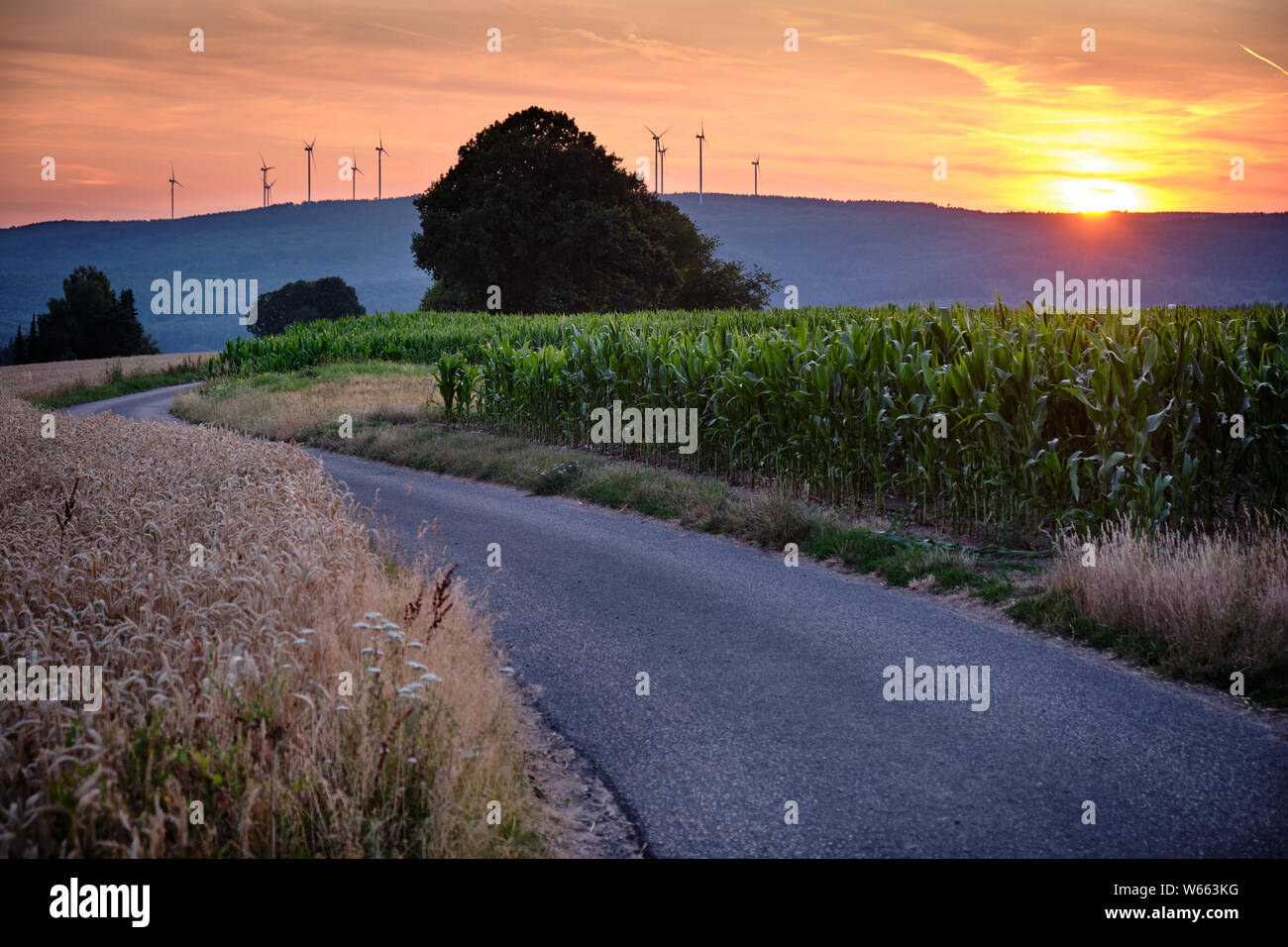 Una lunga e tortuosa strada di campagna nella zona di Spessart in Germania durante il tramonto Foto Stock